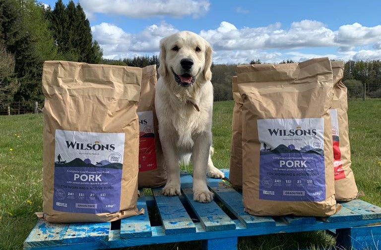 Best food for active dogs Wilsons Pet Food