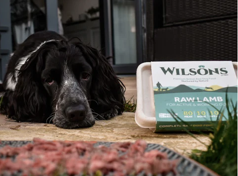 Raw Lamb Core Dog Food