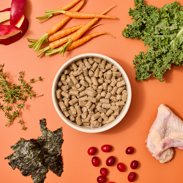 Why choose Cold Pressed over Kibble? Wilsons Pet Food