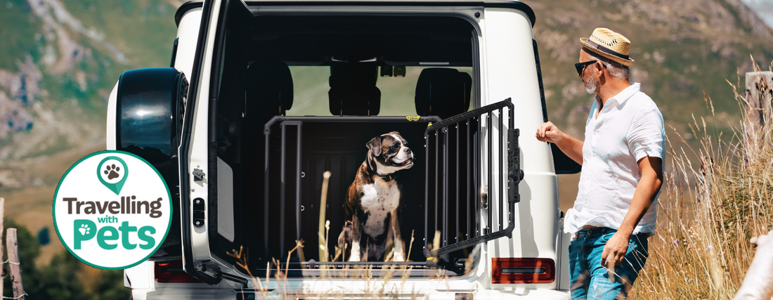 Expert travelling with dogs advice from Travelling with Pets