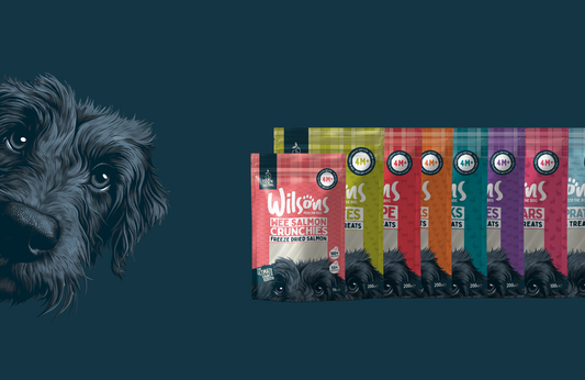 Brand New Wilsons Dog Treats