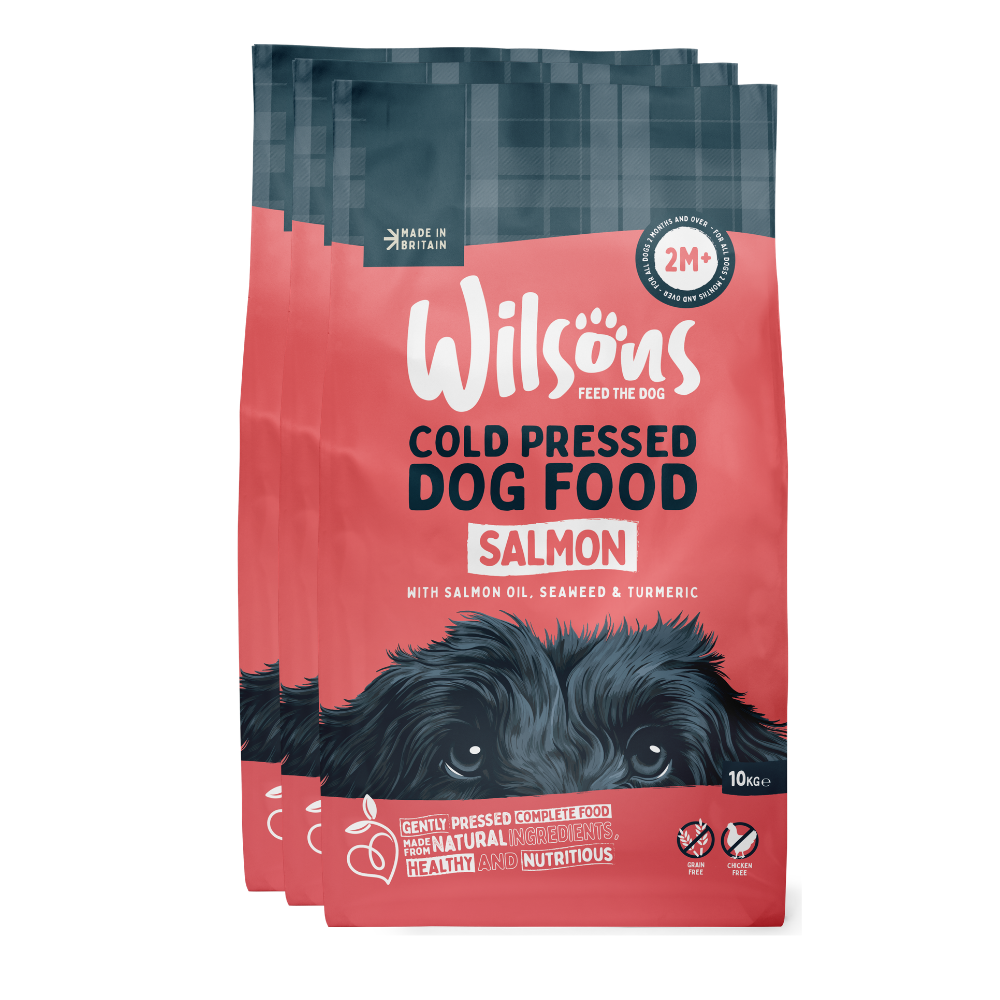 Salmon Premium British Cold Pressed Dog Food