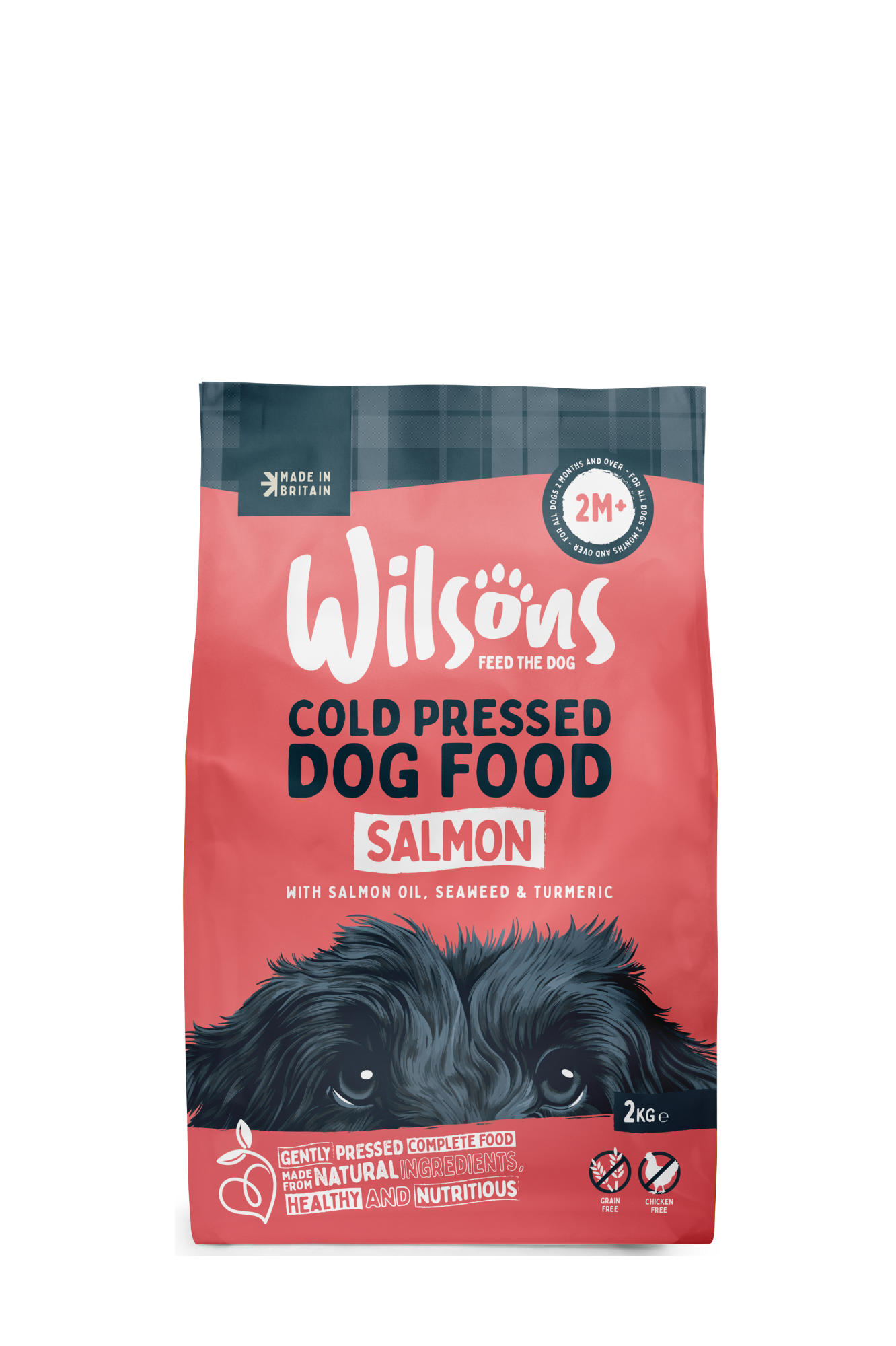 Salmon Premium British Cold Pressed Dog Food