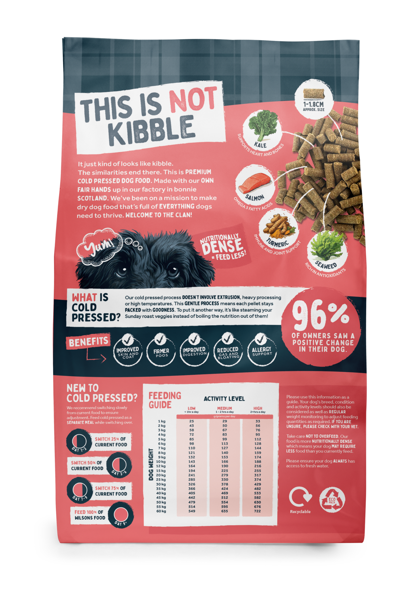 Salmon Premium British Cold Pressed Dog Food