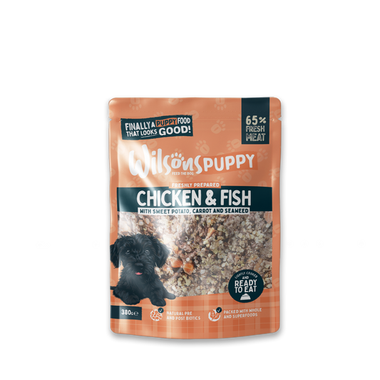Puppy Chicken and Fish Fresh Dog Food