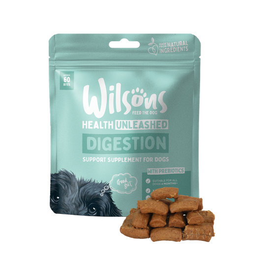 Digestion Support Supplement for Dogs