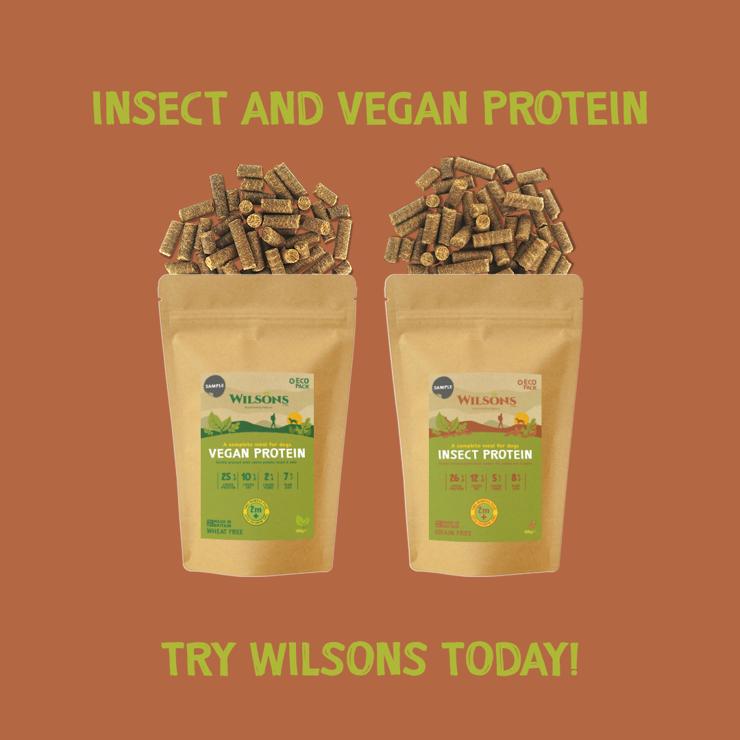 Nutro dog shop food samples