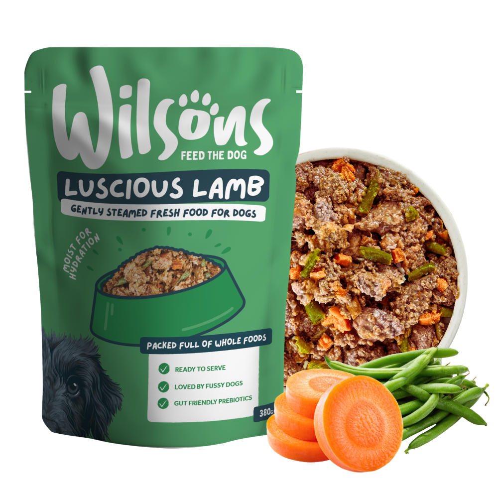 Luscious Lamb Fresh Dog Food