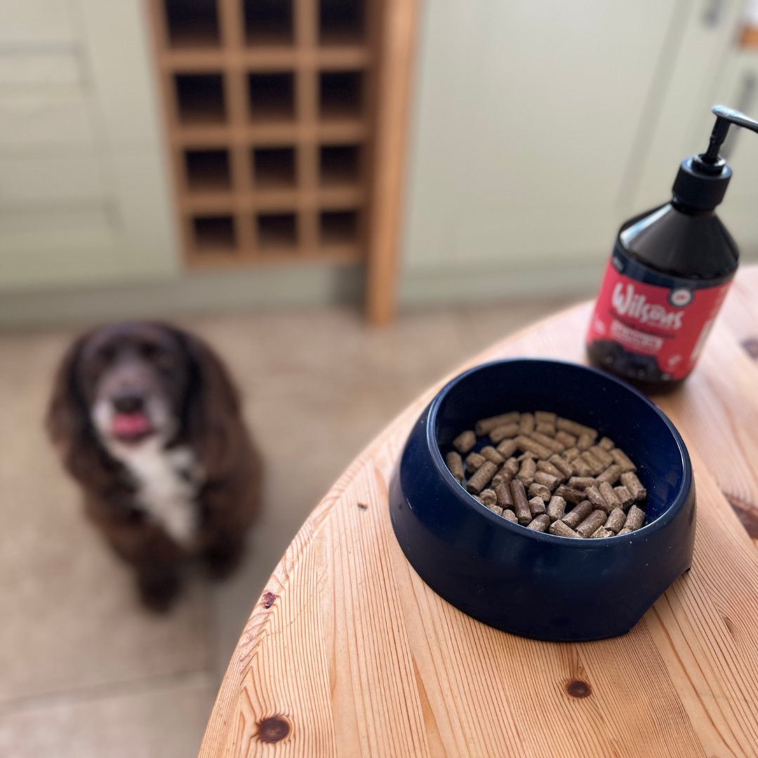 Salmon Oil with Cold Pressed Dog Food at Wilsons Pet Food