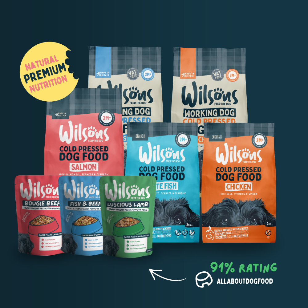 Mixed Bundle Fresh Dog Food