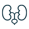 Urinary Support