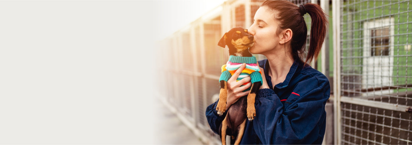 A lady with brown hair in a ponytail is at a kennel. She is holding a small black and brown chihuahua that is wearing a striped sweater