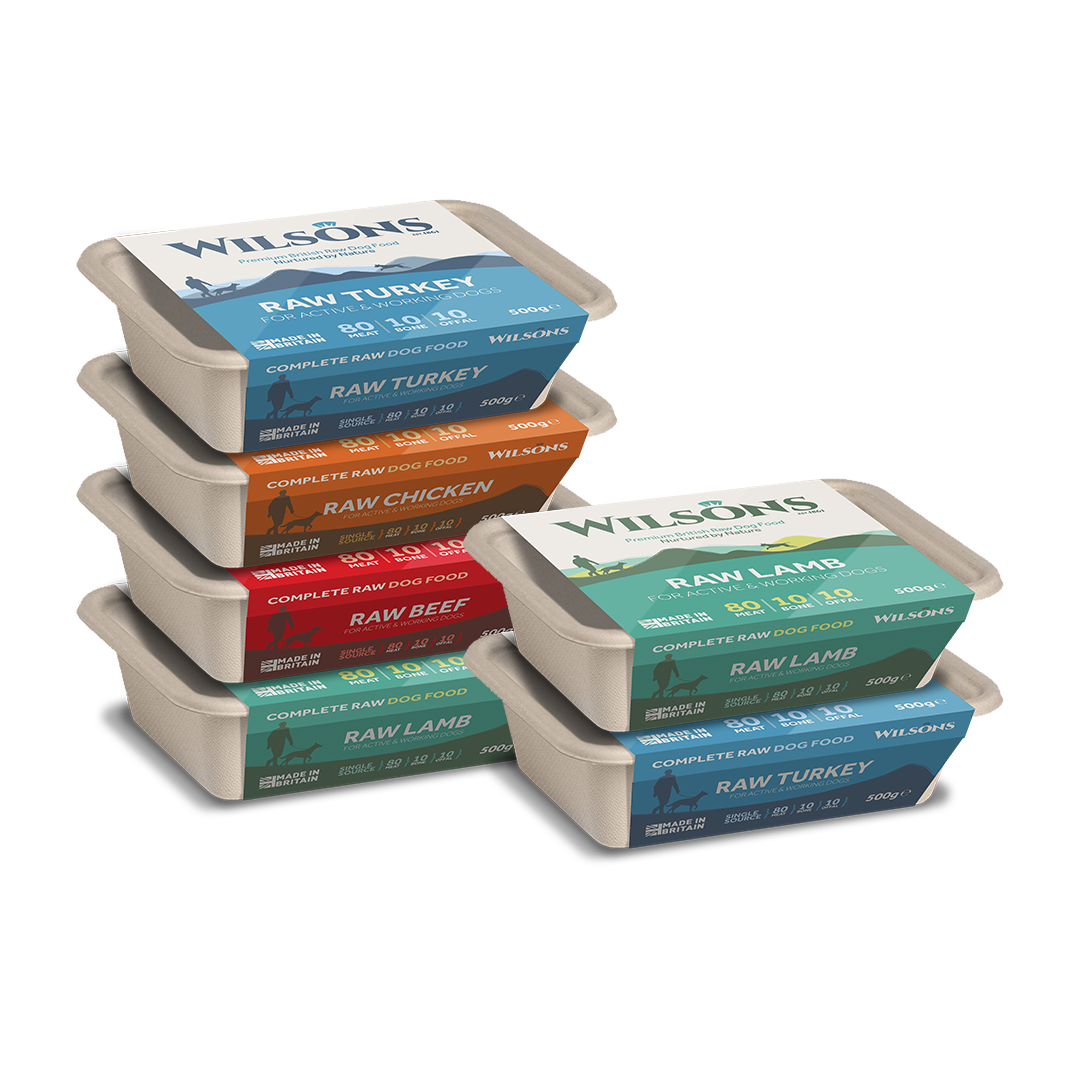 Frozen raw dog food discount