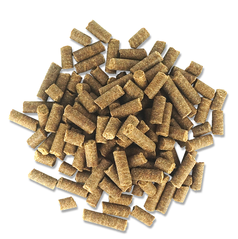 Cold compressed dog deals food