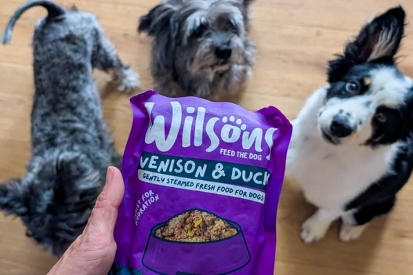All About Fresh Dog Food