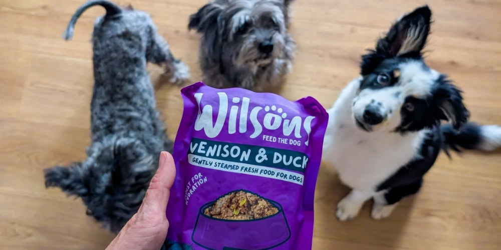 All About Fresh Dog Food