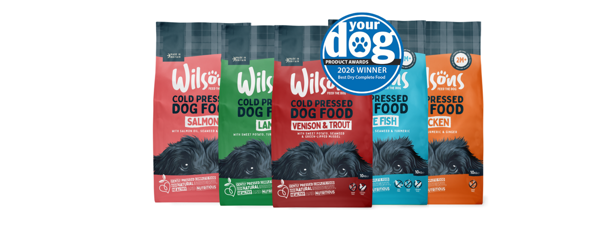Wilsons wins two Your Dog 2026 awards