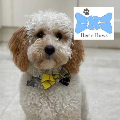 Dog accessories handmade in the UK by Berts Bows