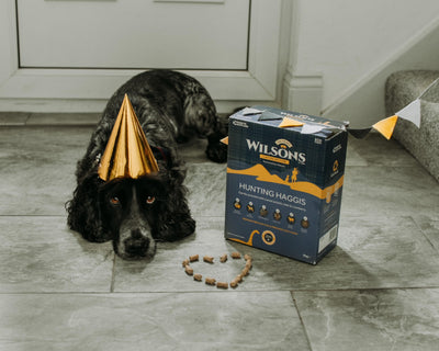 Win a year's supply of Wilsons Pet Food!