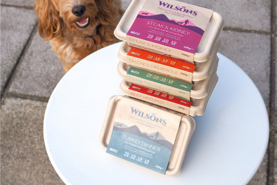 Which raw is best for your dog?