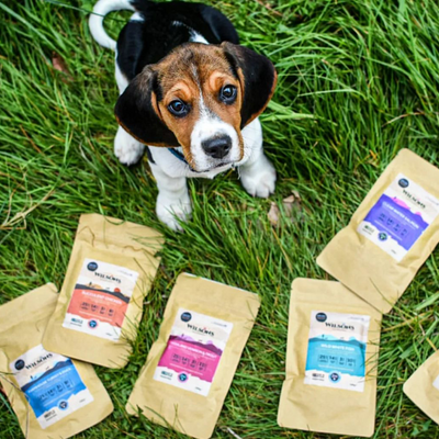 Find your dog's forever food with our sample packs