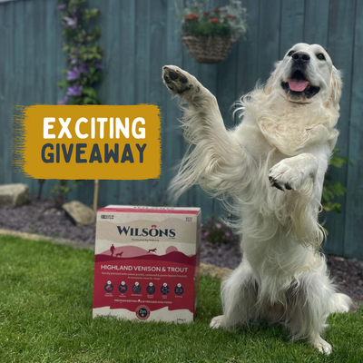 Giveaway for our 50,000th Order!