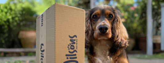 Easy Steps for Updating your Subscription
