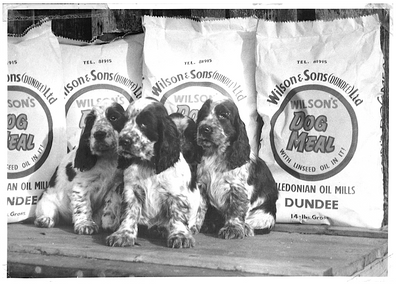 Over 150 years of Wilsons Pet Food