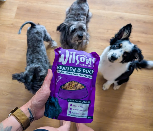 All About Fresh Dog Food