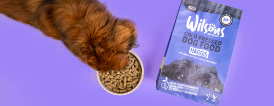 Celebrating 160 years of Wilsons Pet Food