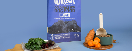 Celebrating Burns Night with Haggis Dog Food