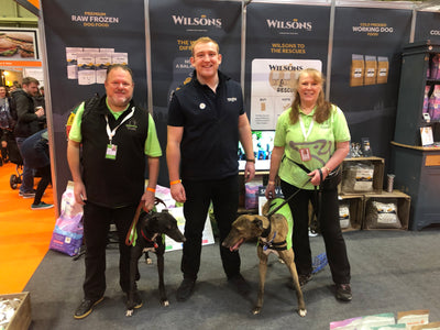 Greyhound Trust Hall Green - Wilsons to the Rescues