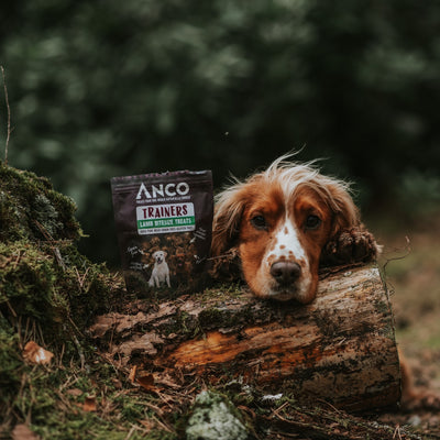 Delicious and Natural Dog Treats from Anco