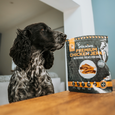 Free Treats for Every Order Today!
