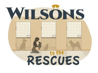 Introducing Wilsons to the Rescues
