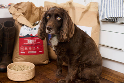 Cold pressed food for working dogs