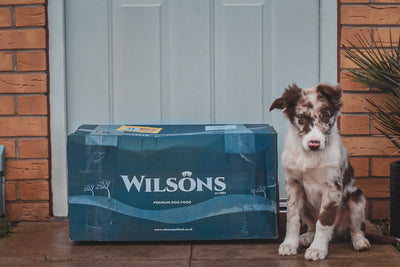 Dog Food Subscriptions from Wilsons Pet Food