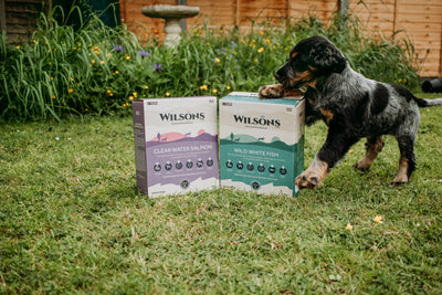 Wilsons Cold Pressed for Puppies