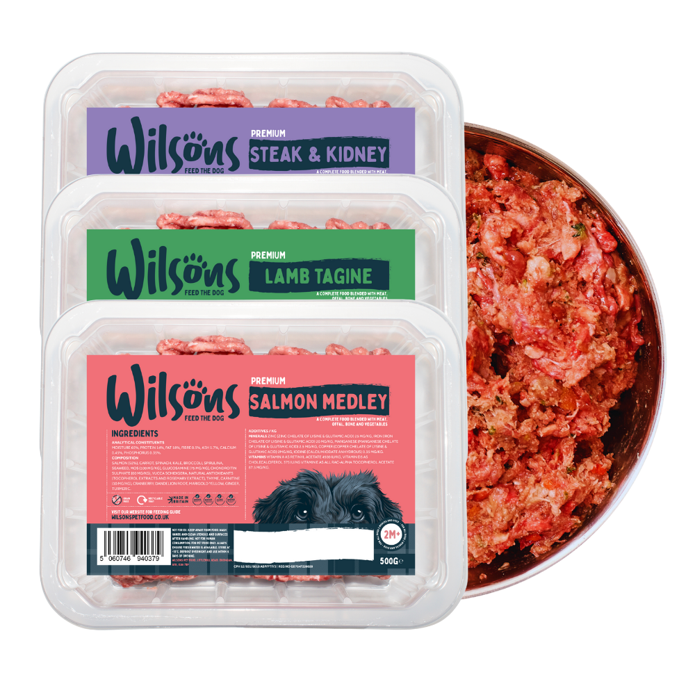 All Raw Frozen Dog Food