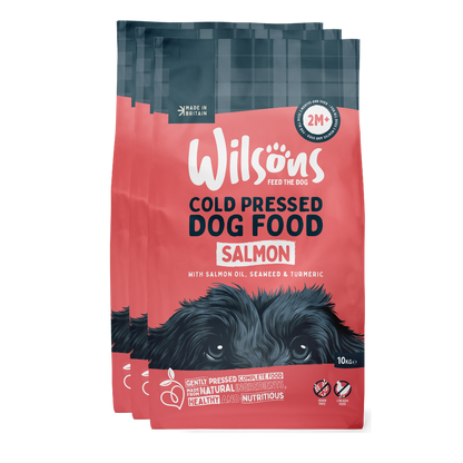 Salmon Premium British Cold Pressed Dog Food