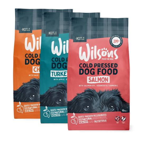 Chicken, Turkey & Duck and Salmon Premium Complete Cold Pressed Dog Food Bundle