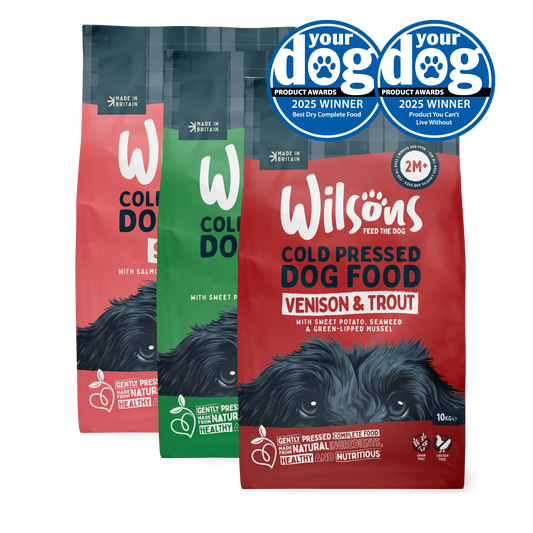Lamb, Venison & Trout and Salmon Premium Cold Pressed Dog Food Bundle