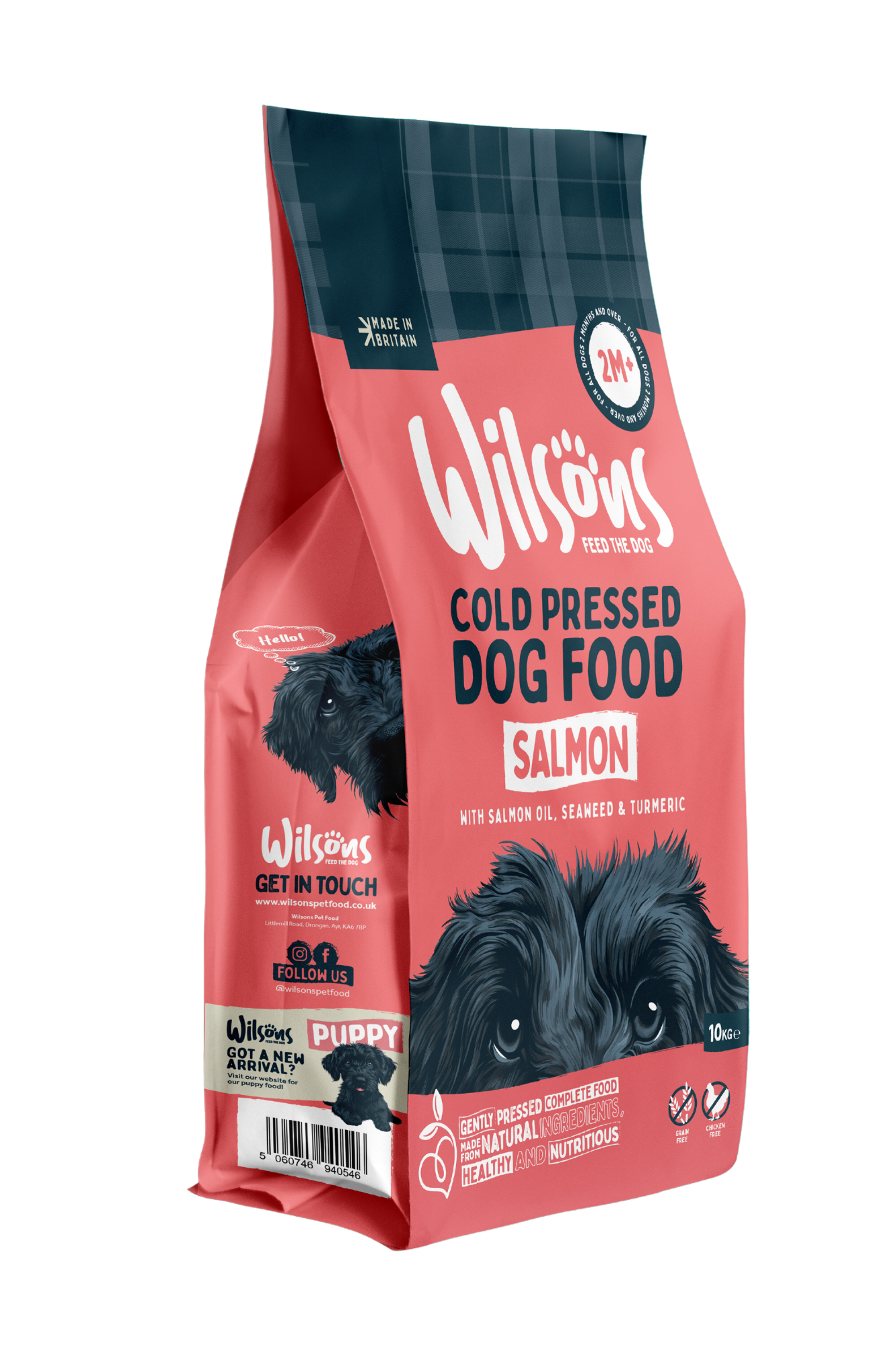 Chewy salmon dog food sale