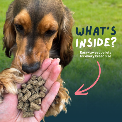 Beef Cold Pressed Working Dog Food