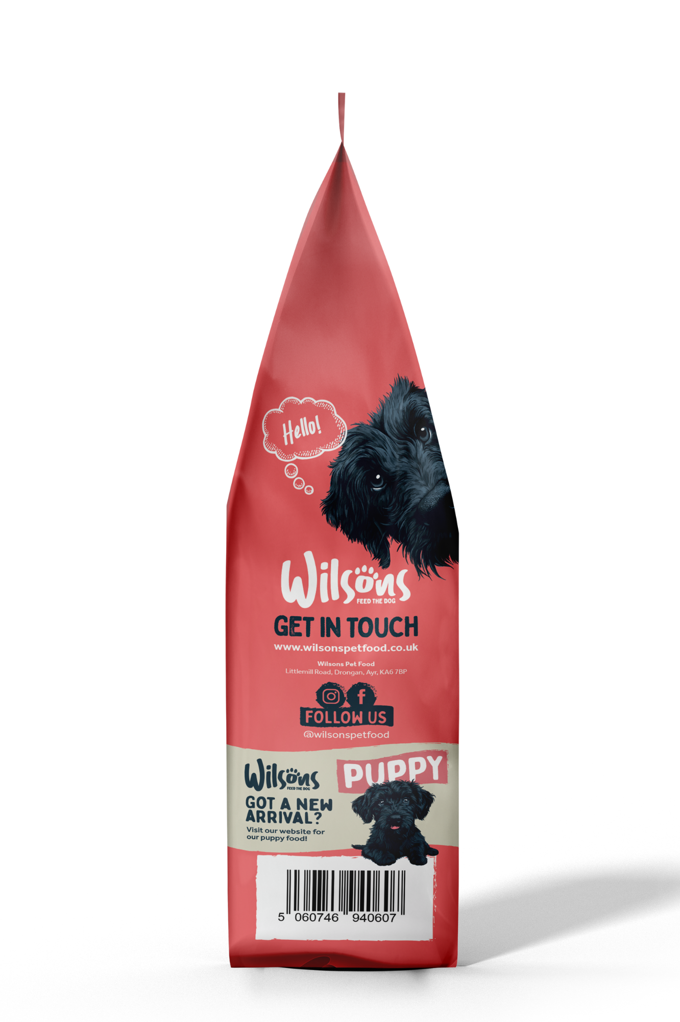 Chewy salmon dog food sale