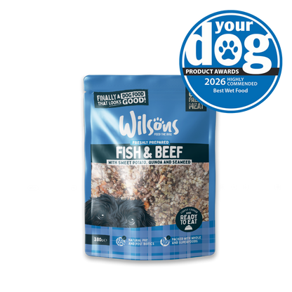 Fish and Beef Fresh Dog Food
