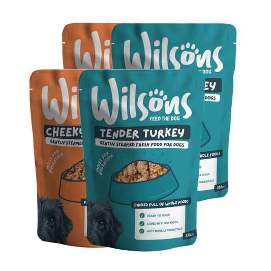 Three packages of Poultry Wilsons fresh dog food, two in teal and one in orange, on a white background.