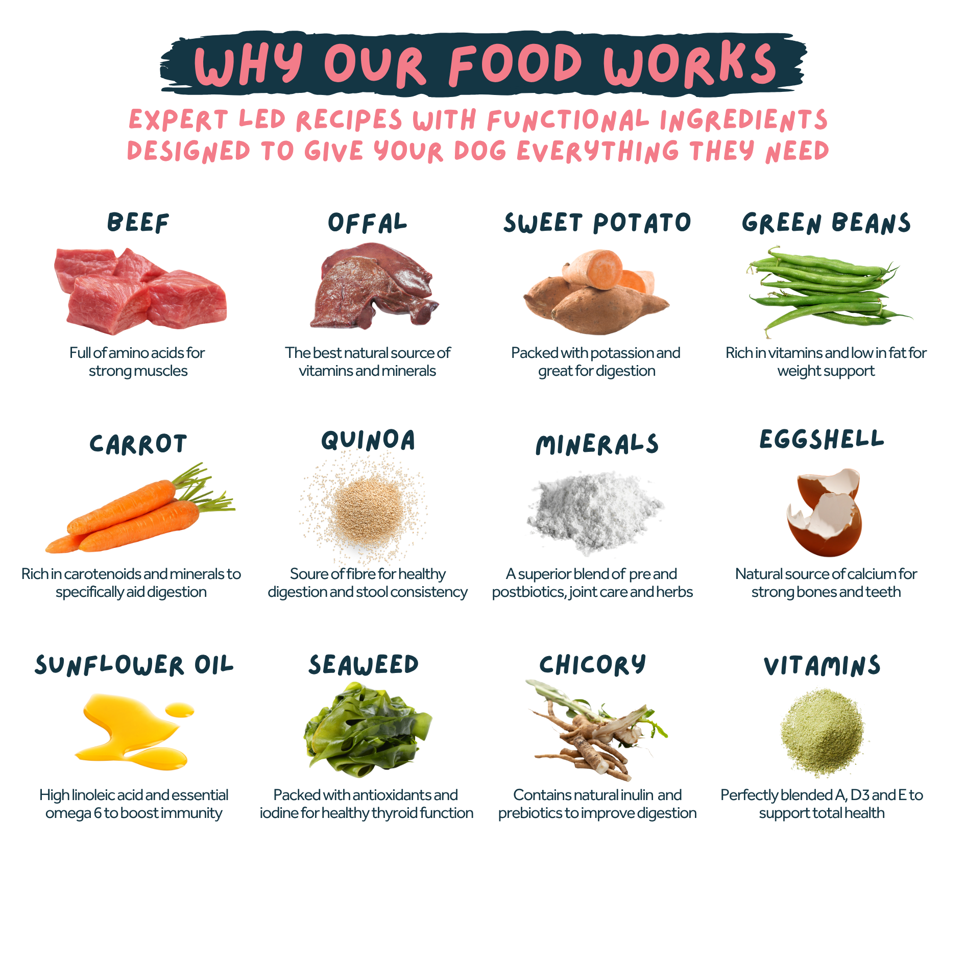 Diagram of food ingredients with text explaining their benefits for dogs.