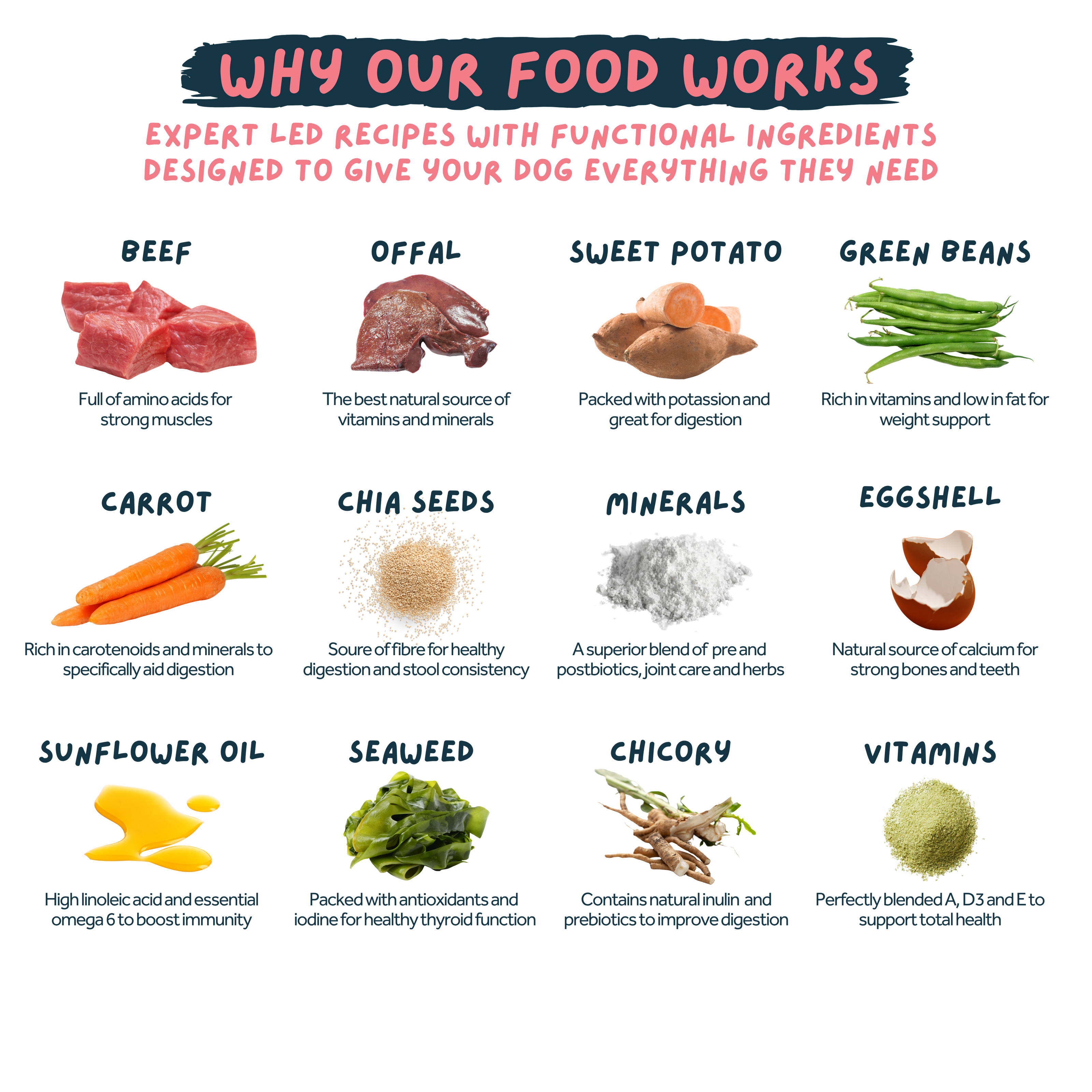 Diagram of functional ingredients for Bougie Beef Fresh dog food with images and text.