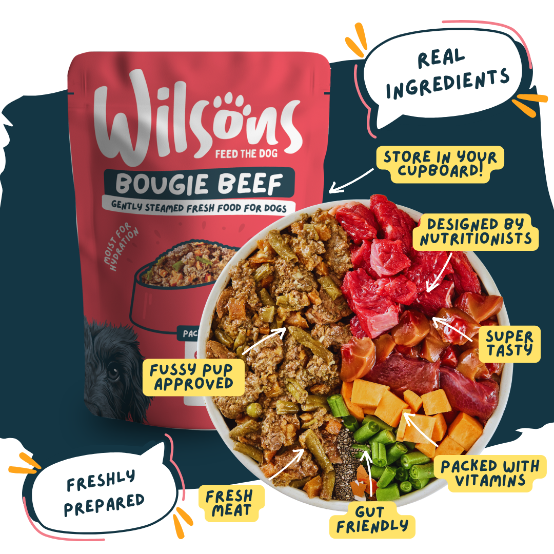 Wilsons Bougie Beef fresh dog food package with a bowl of dog food and text highlighting features - real ingredients, freshly prepared